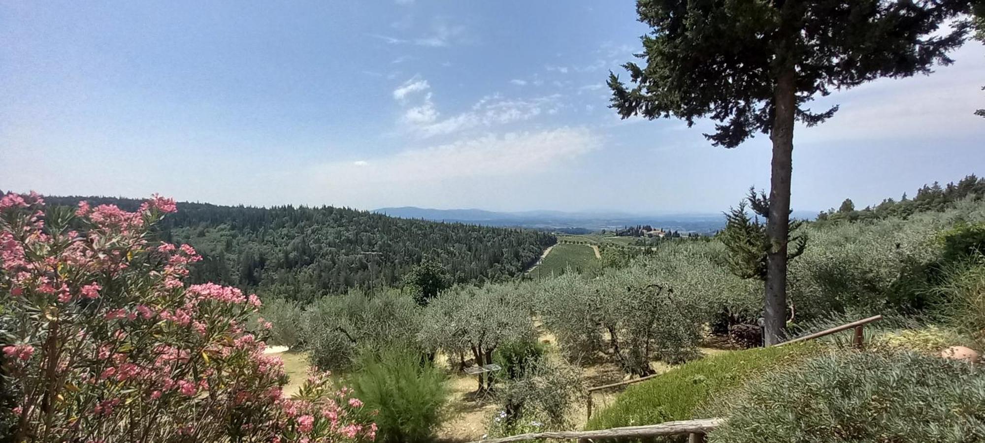 Borgo Nel Chianti Istrice Con Piscina Tennis E Wifi Castellina in Chianti Eksteriør billede